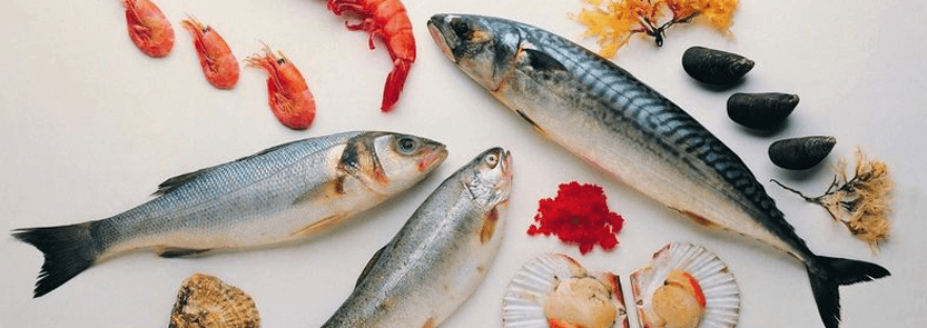 Balık Alerjisinde Diyet Nasıl Yapılır