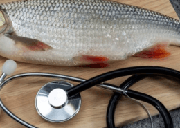 Balık Alerjisinde Moleküler Alerji Testi